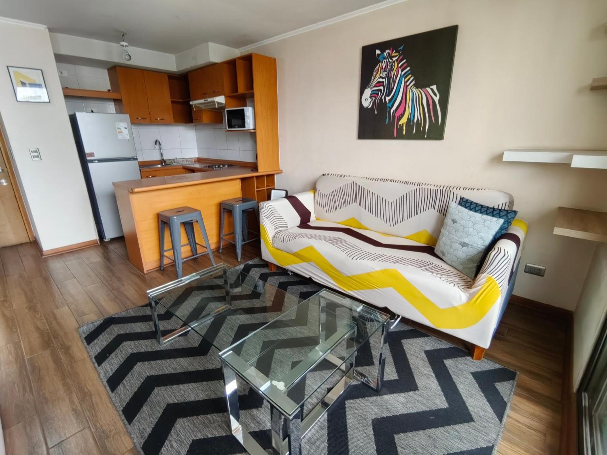 Apartamento Bellas Artes Apto